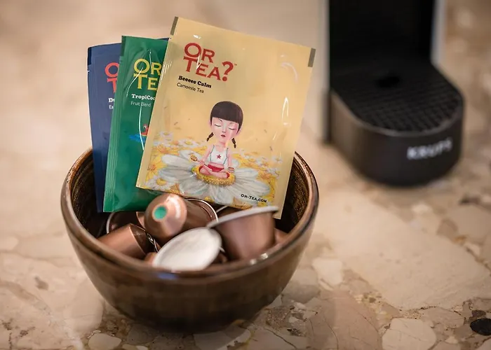 Snoring Bastards Apartamento