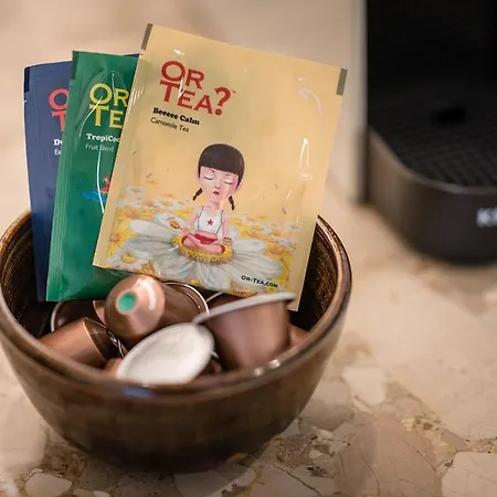 Snoring Bastards Daire